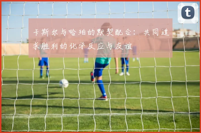 卡斯尔与哈珀的默契配合：共同追求胜利的化学反应与友谊