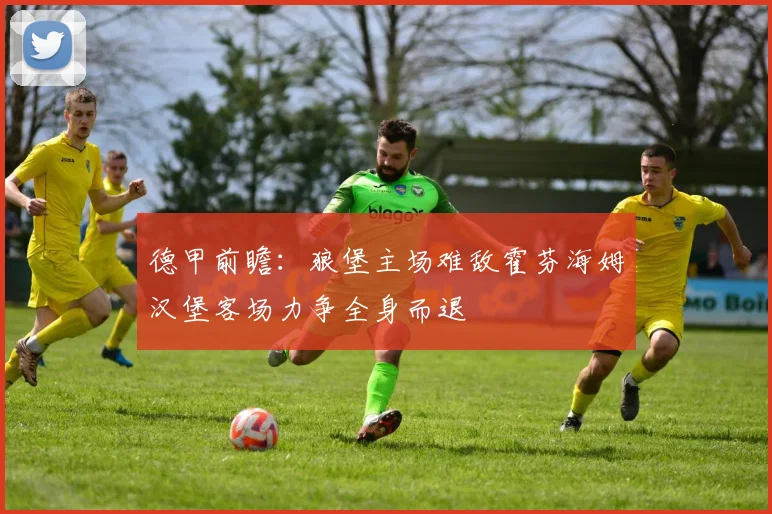 德甲前瞻：狼堡主场难敌霍芬海姆汉堡客场力争全身而退