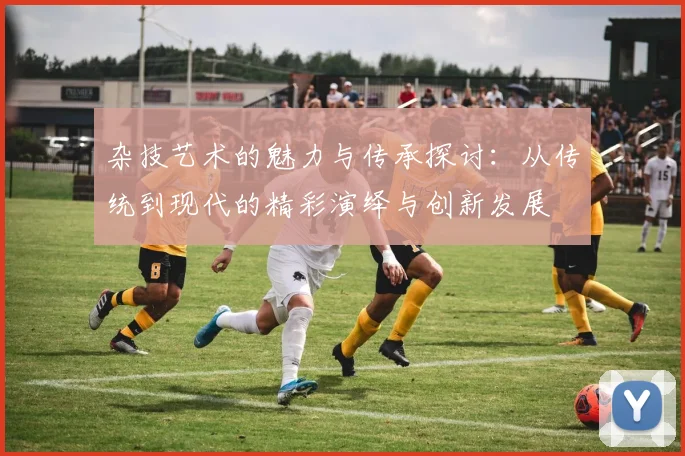 杂技艺术的魅力与传承探讨：从传统到现代的精彩演绎与创新发展